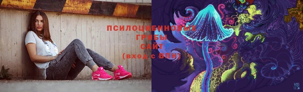 дживик Новодвинск