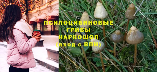 дживик Новодвинск