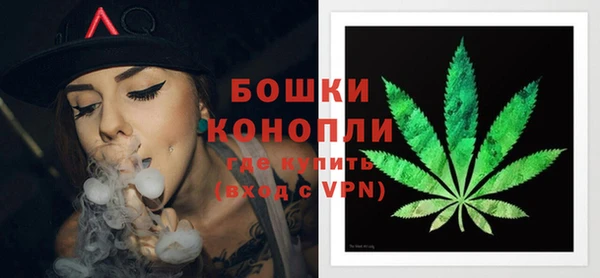 дживик Новодвинск