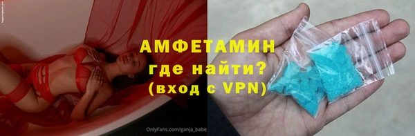 соль ск Новозыбков
