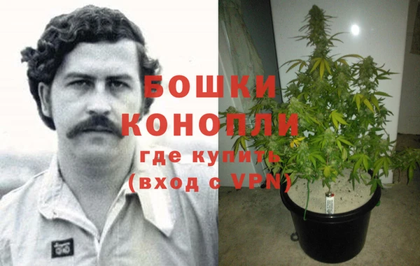 мескалин Няндома
