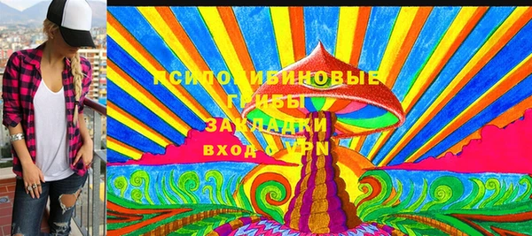 соль ск Новозыбков