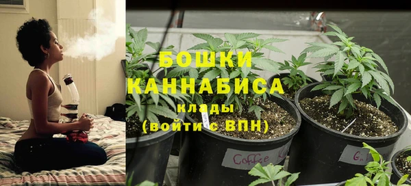 соль ск Новозыбков