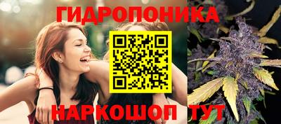 прущие крисы Донецк