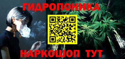 бошки Дубна