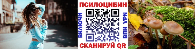 Галлюциногенные грибы MAGIC MUSHROOMS Каменка