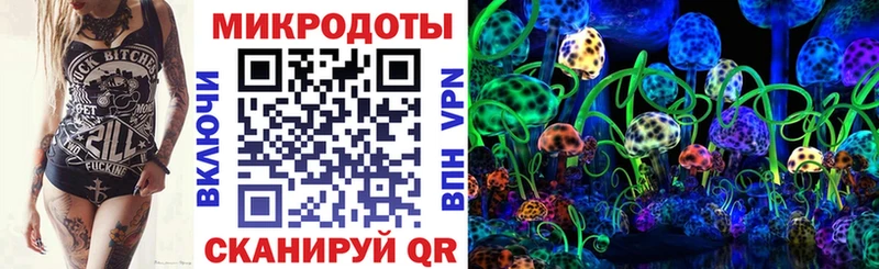 Галлюциногенные грибы Magic Shrooms  shop официальный сайт  Каменка 