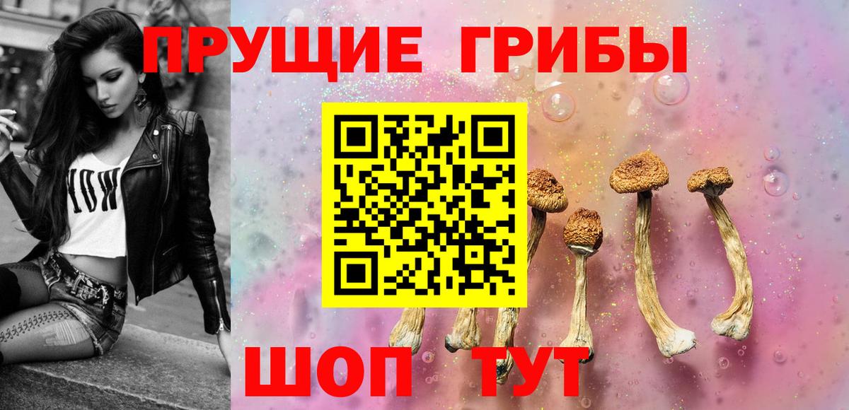 Галлюциногенные грибы MAGIC MUSHROOMS  Каменка  Псилоцибиновые грибы Psilocybe 