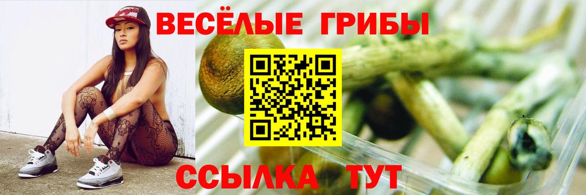 Галлюциногенные грибы мухоморы Каменка